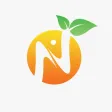 Nareng - نارنج