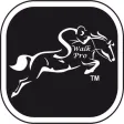 Walk Pro