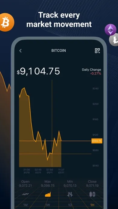 Screenshot di Online Wallet