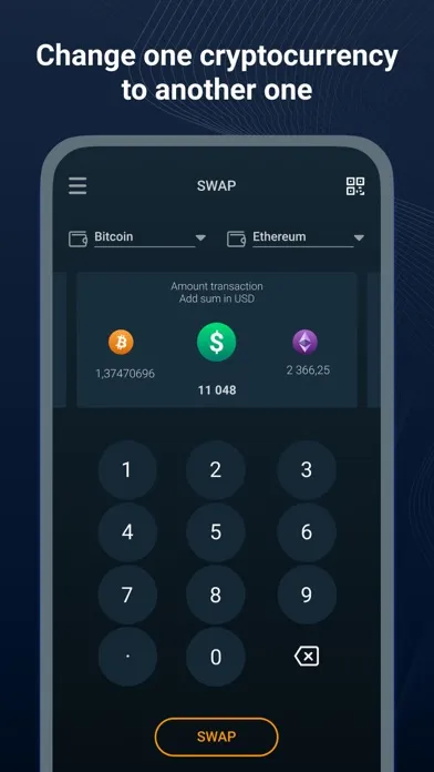 Screenshot di Online Wallet