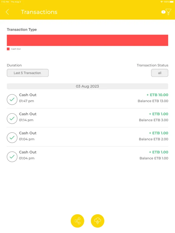 Captures d'écran de Wallet Birr Agent iPad 