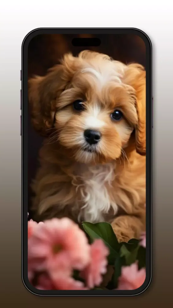 Cute Dog & Puppy Wallpaper 4K Screenshots