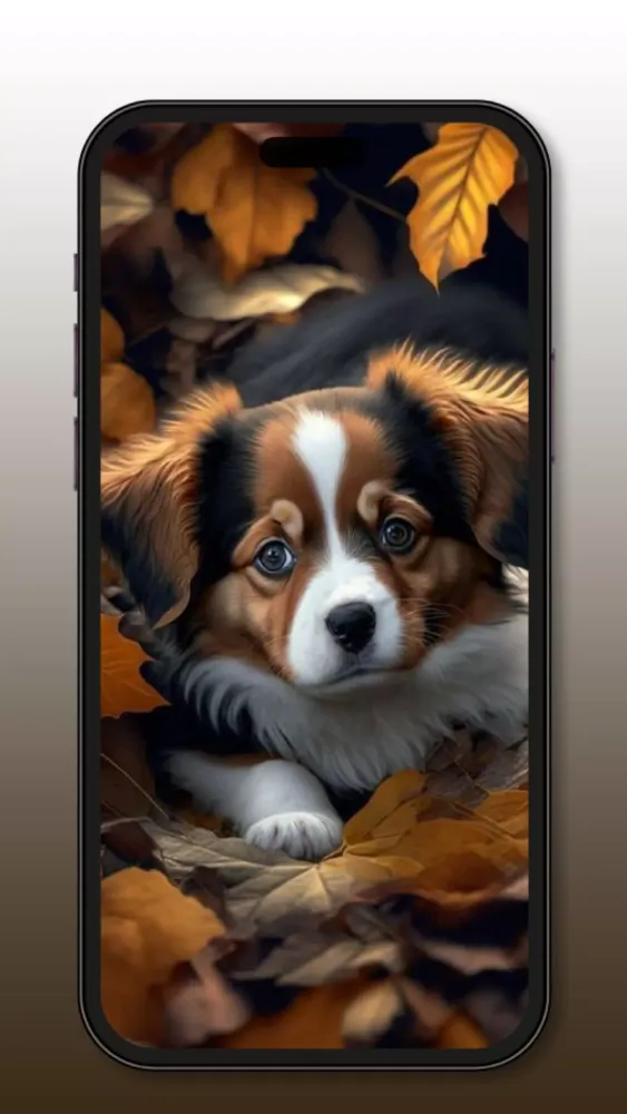 Cute Dog & Puppy Wallpaper 4K Screenshots