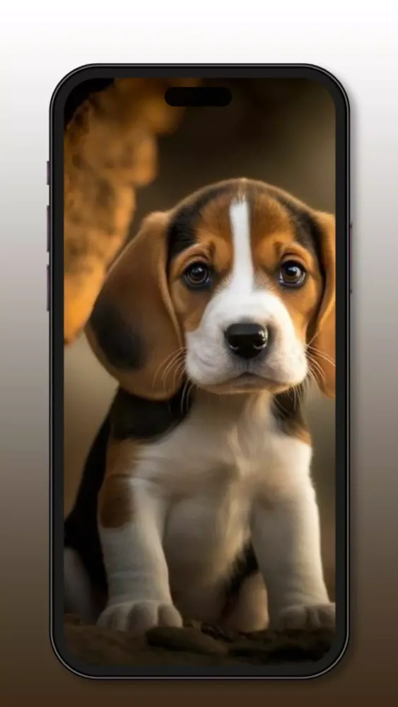 Cute Dog & Puppy Wallpaper 4K Screenshots