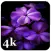Aesthetic Purple Wallpapers 4K