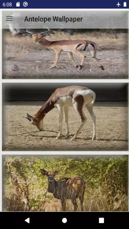 Antelope wallpaper سکرین شاٹس