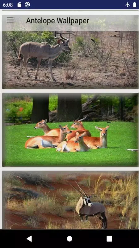 Antelope wallpaper سکرین شاٹس