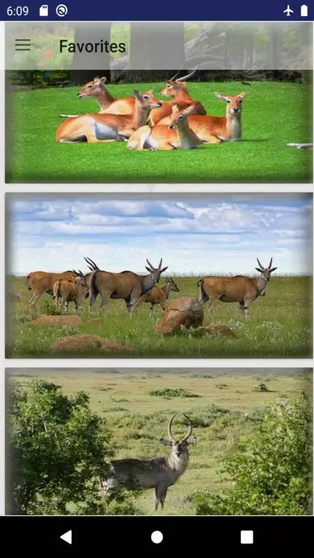 Antelope wallpaper سکرین شاٹس