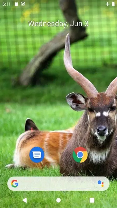 Antelope wallpaper سکرین شاٹس