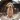 Dogs Wallpapers