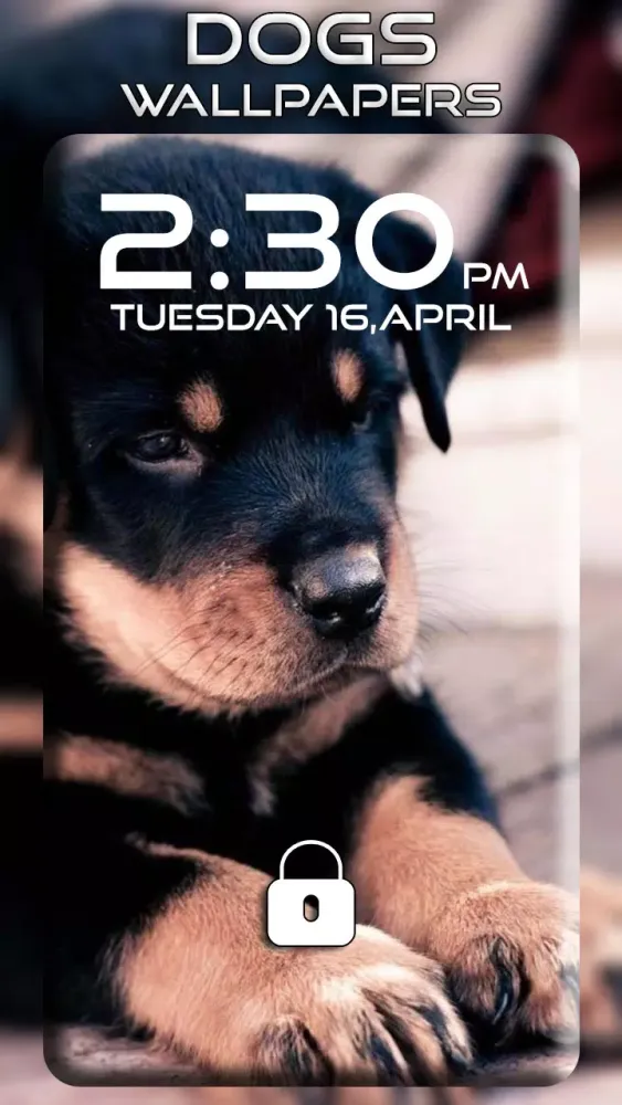 Dogs Wallpapers स्क्रीनशॉट