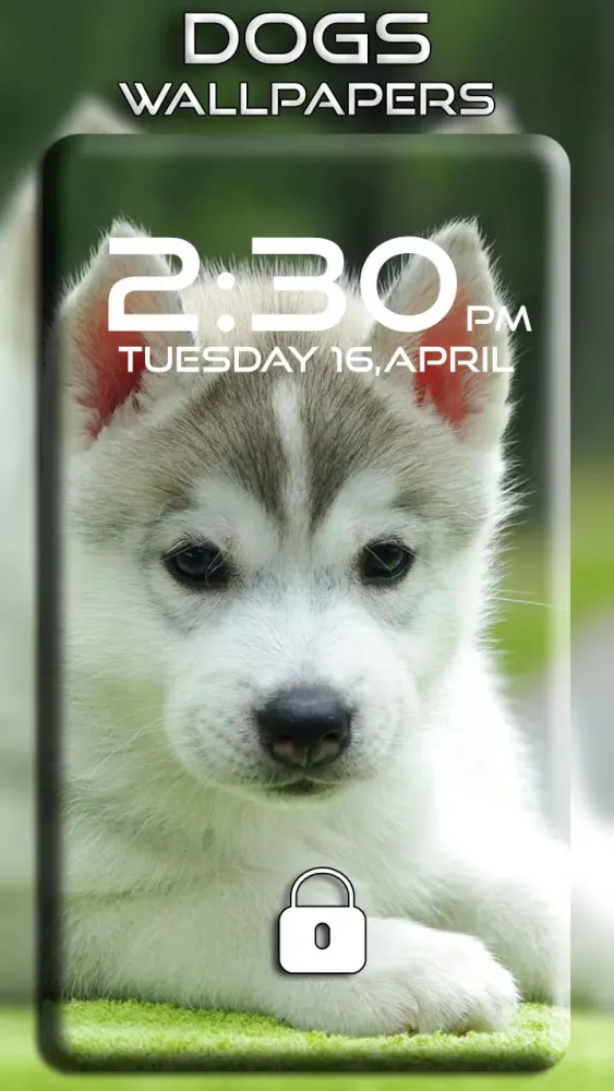 Dogs Wallpapers स्क्रीनशॉट