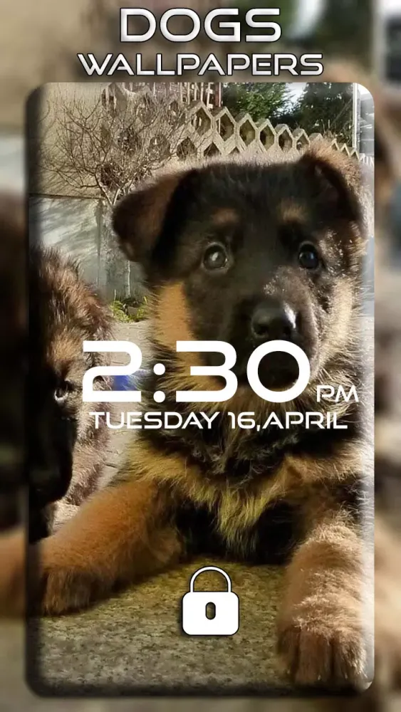 Dogs Wallpapers स्क्रीनशॉट