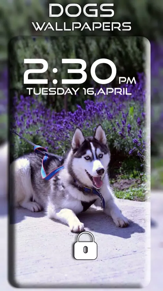 Dogs Wallpapers स्क्रीनशॉट