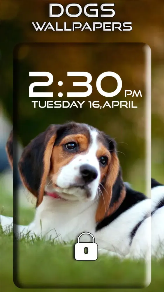 Dogs Wallpapers स्क्रीनशॉट