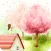 Sakura Live Wallpaper PRO