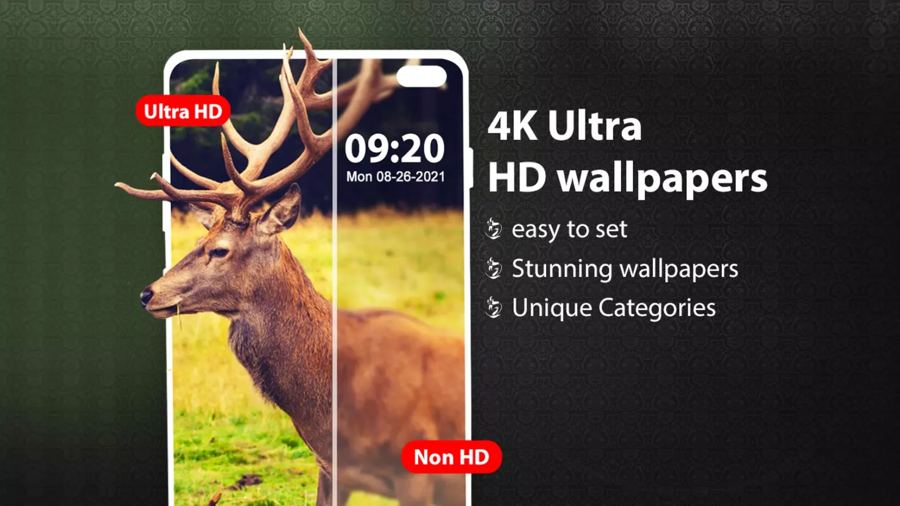 Wallpaper: HD & 4k Wallpapers应用截图
