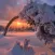 Winter wallpapers backgrounds