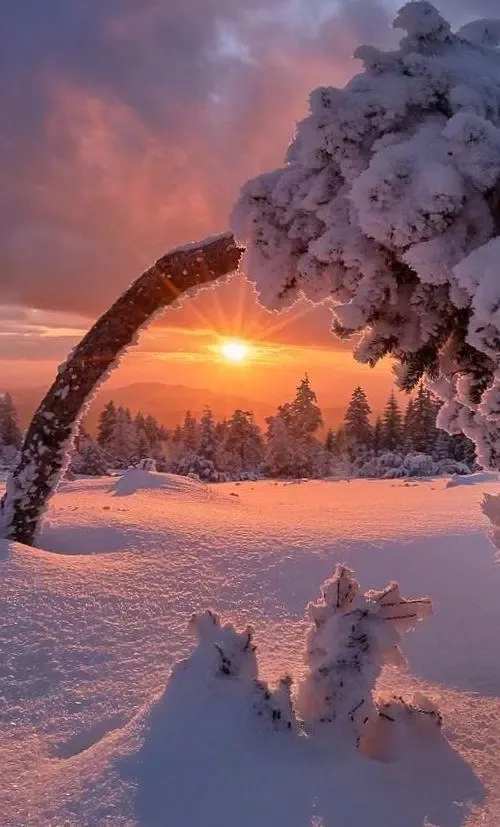 Скриншоты Winter wallpapers backgrounds