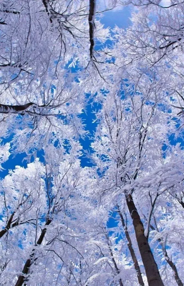 Скриншоты Winter wallpapers backgrounds