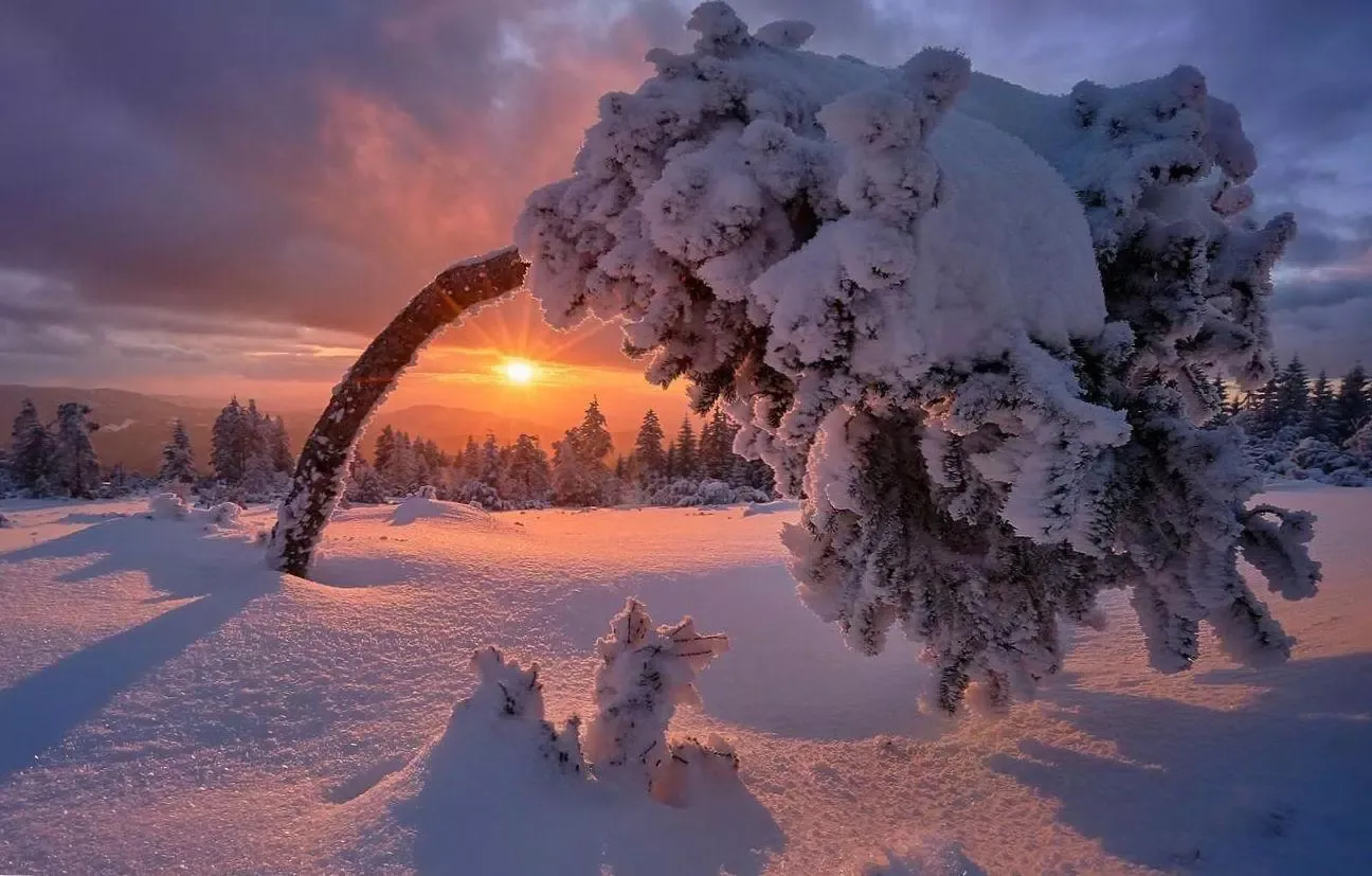 Скриншоты Winter wallpapers backgrounds