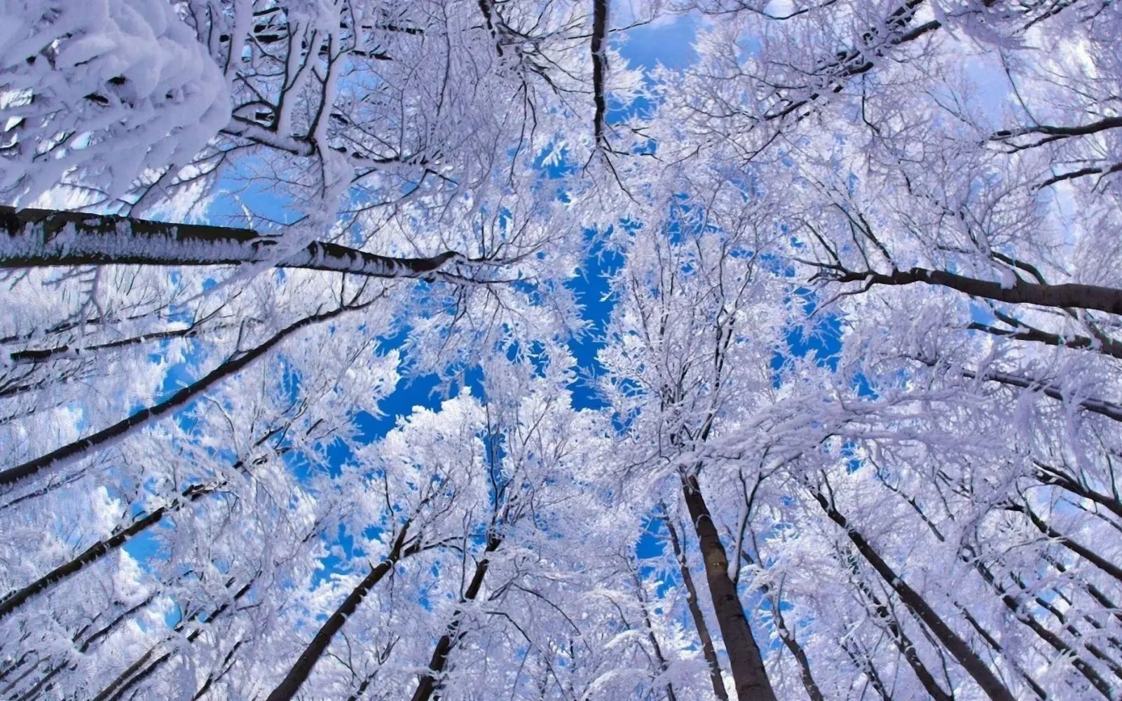 Скриншоты Winter wallpapers backgrounds