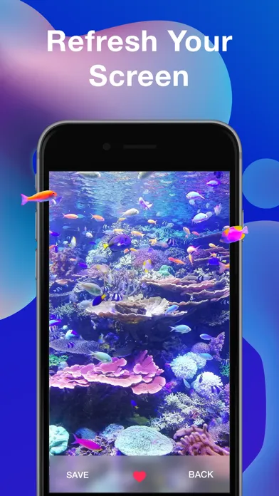 صور Wallpapers º