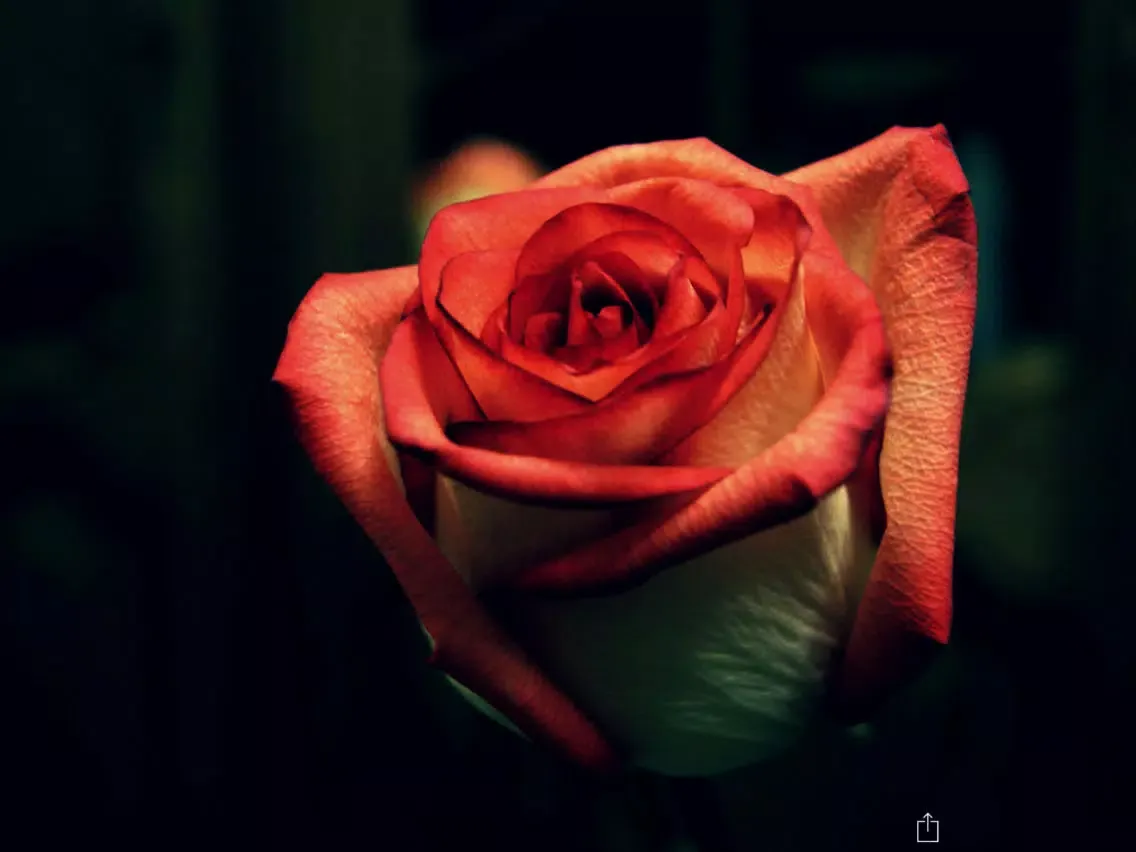 Tangkapan layar Best Wallpapers & Backgrounds HD for cool screen iPad 