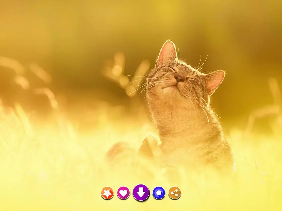 Captures d'écran de Wallpapers & Backgrounds Space iPad 