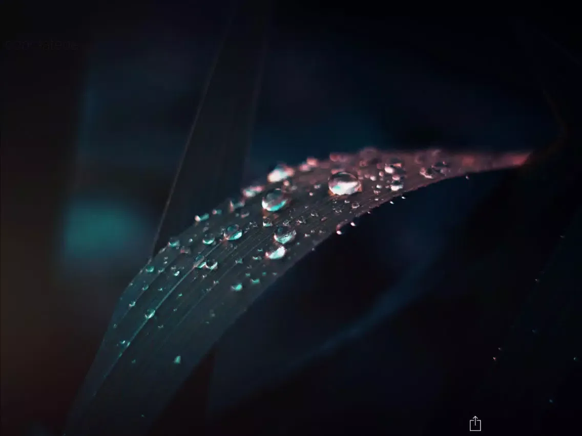 Sweet Wallpapers & Backgrounds HD for cool screen iPad  Ekran Görüntüleri