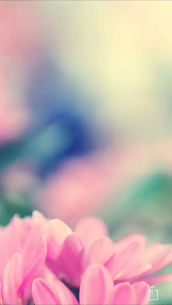 Wallpapers & Backgrounds HD for cool screen 14 Screenshots