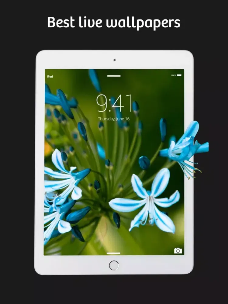 Wallzy Live Maker iPad  스크린샷