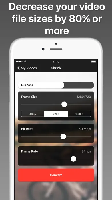 Video Shrinker Screenshots