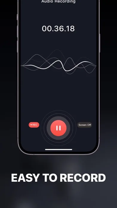 Dictaphone - Voice Recorder .应用截图