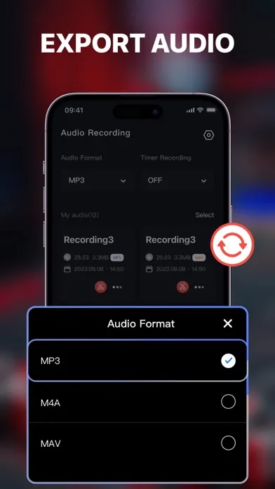 Dictaphone - Voice Recorder .应用截图