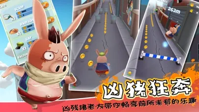 صور 小猪酷跑-3D肥猪快乐跑酷