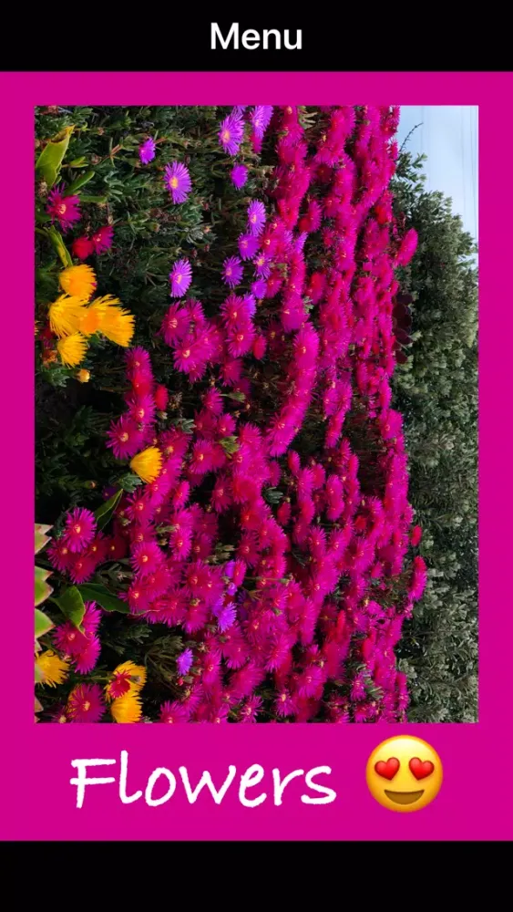 Ảnh chụp màn hình của Instant - Frame Color Editor