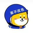 小柯基表情包 小柯基表情包