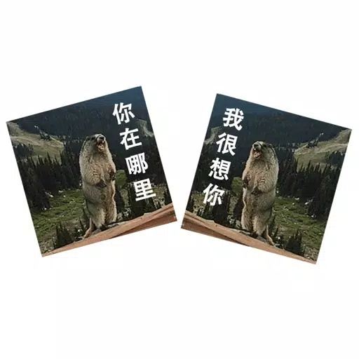 土拨鼠表情包 土拨鼠表情包