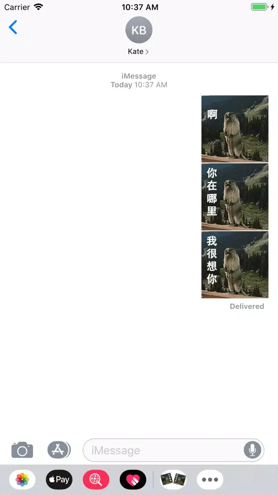 تصاویر 土拨鼠表情包