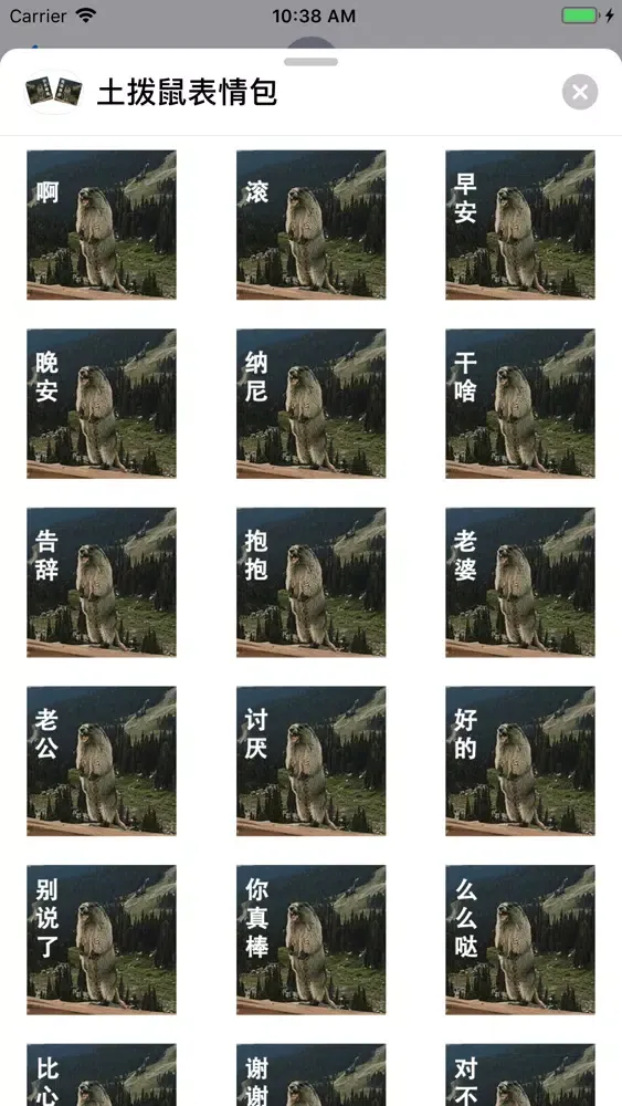 تصاویر 土拨鼠表情包