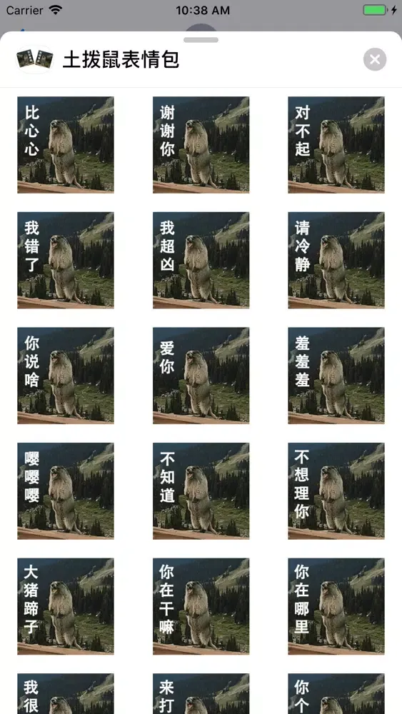 تصاویر 土拨鼠表情包