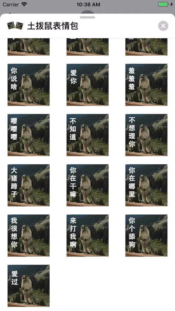 تصاویر 土拨鼠表情包