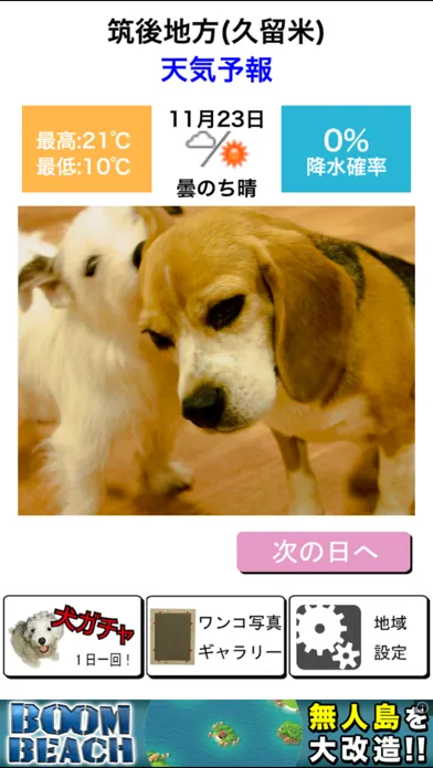 わんこ天気〜天気予報＆可愛い犬の写真〜 স্ক্রিনশট