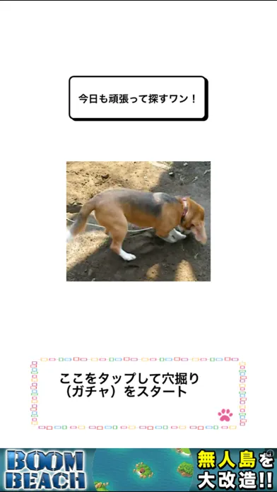 わんこ天気〜天気予報＆可愛い犬の写真〜 স্ক্রিনশট