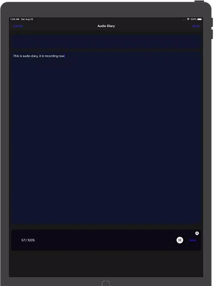 Time Diary - Life Notes iPad  سکرین شاٹس