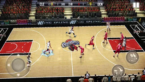 Tangkapan skrin Fanatical Basketball