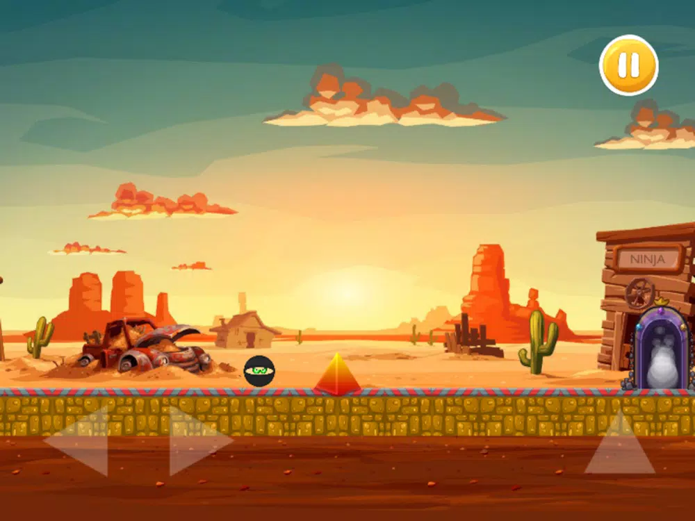 صور Ninja the Survivor iPad 