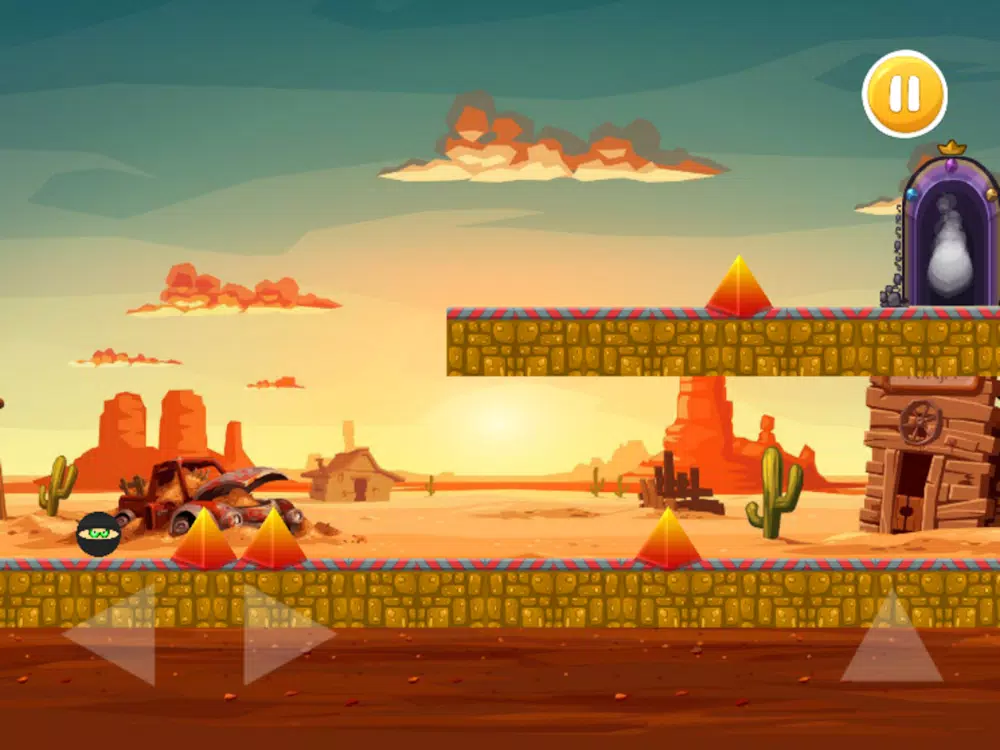 صور Ninja the Survivor iPad 