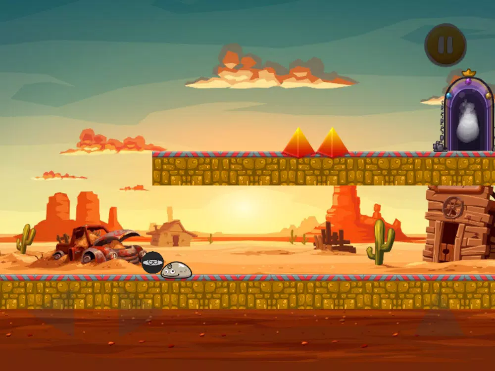صور Ninja the Survivor iPad 